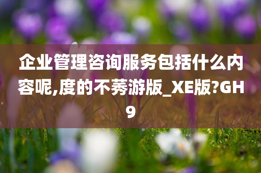 企业管理咨询服务包括什么内容呢,度的不莠游版_XE版?GH9