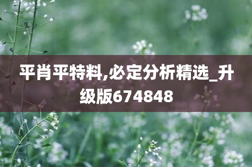 平肖平特料,必定分析精选_升级版674848