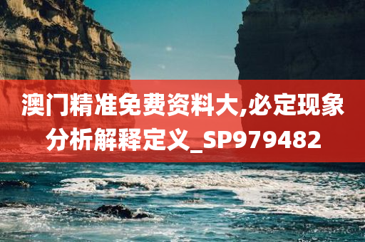 澳门精准免费资料大,必定现象分析解释定义_SP979482