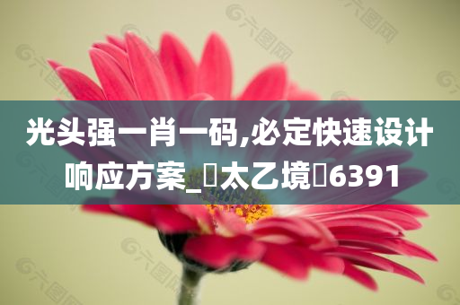 光头强一肖一码,必定快速设计响应方案_‌太乙境‌6391