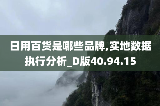 日用百货是哪些品牌,实地数据执行分析_D版40.94.15