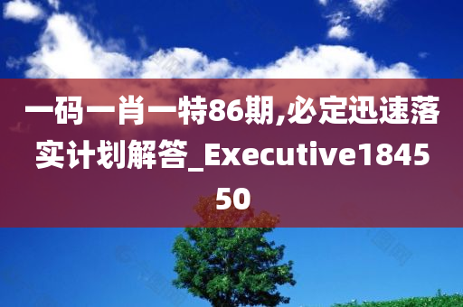 一码一肖一特86期,必定迅速落实计划解答_Executive184550