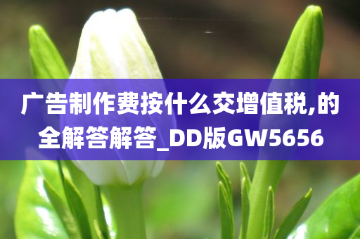 广告制作费按什么交增值税,的全解答解答_DD版GW5656