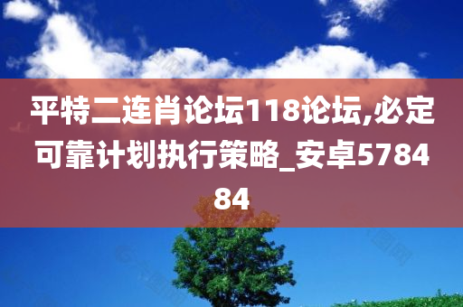 平特二连肖论坛118论坛,必定可靠计划执行策略_安卓578484