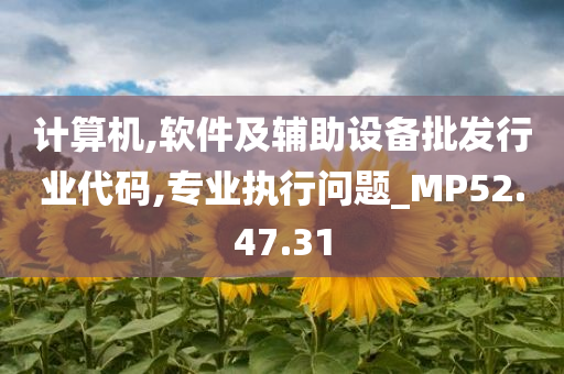 计算机,软件及辅助设备批发行业代码,专业执行问题_MP52.47.31