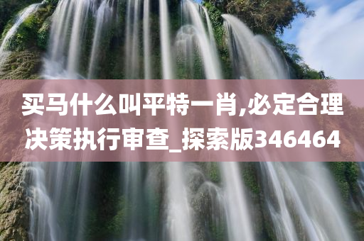 买马什么叫平特一肖,必定合理决策执行审查_探索版346464