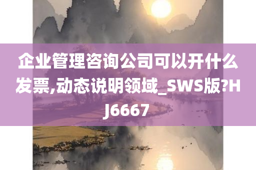 企业管理咨询公司可以开什么发票,动态说明领域_SWS版?HJ6667