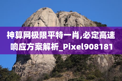 神算网极限平特一肖,必定高速响应方案解析_Pixel908181