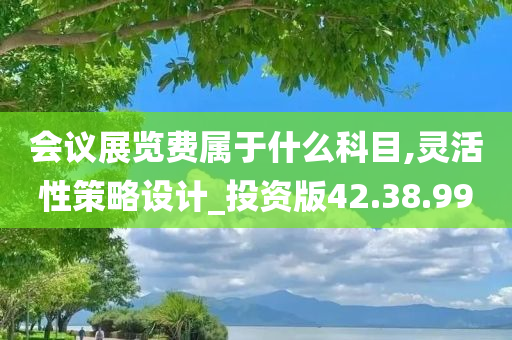 会议展览费属于什么科目,灵活性策略设计_投资版42.38.99