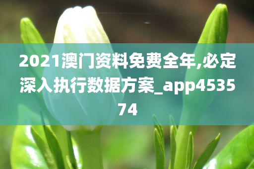 2021澳门资料免费全年,必定深入执行数据方案_app453574