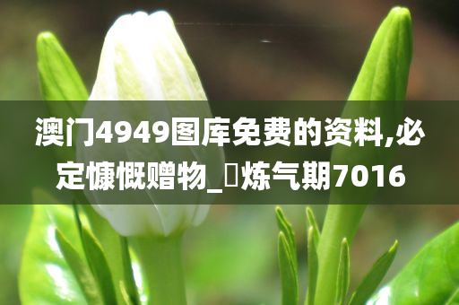 澳门4949图库免费的资料,必定慷慨赠物_‌炼气期7016