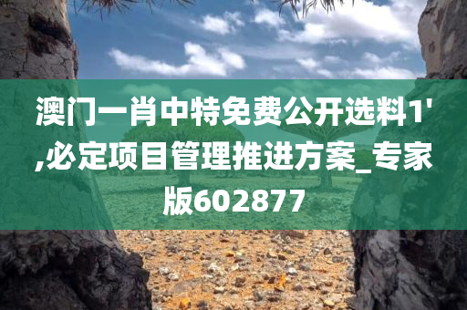 澳门一肖中特免费公开选料1',必定项目管理推进方案_专家版602877