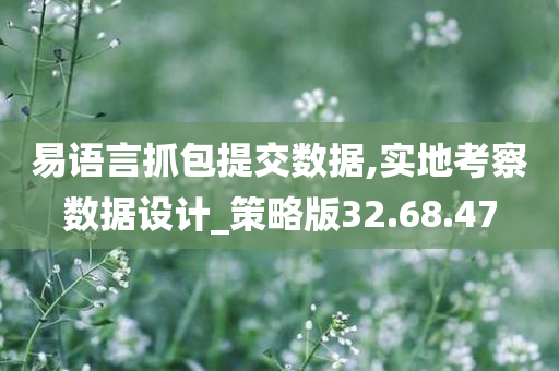 易语言抓包提交数据,实地考察数据设计_策略版32.68.47