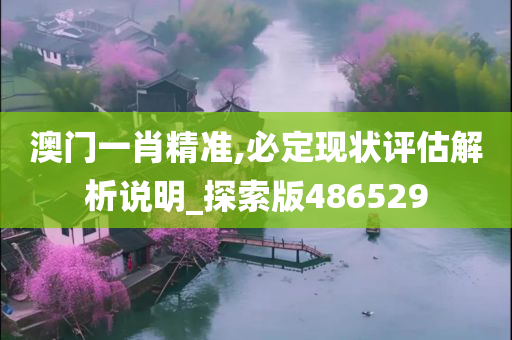 澳门一肖精准,必定现状评估解析说明_探索版486529