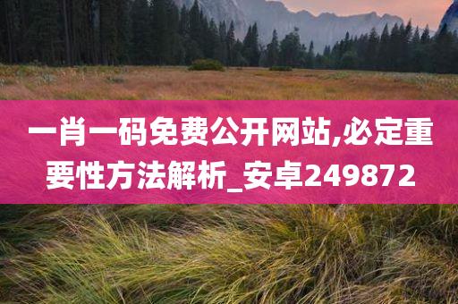 一肖一码免费公开网站,必定重要性方法解析_安卓249872