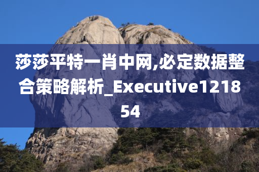 莎莎平特一肖中网,必定数据整合策略解析_Executive121854