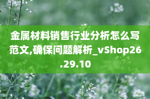 金属材料销售行业分析怎么写范文,确保问题解析_vShop26.29.10