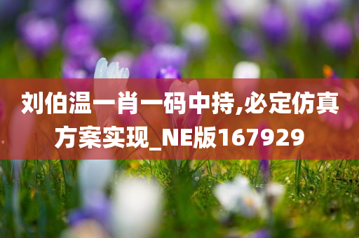 刘伯温一肖一码中持,必定仿真方案实现_NE版167929