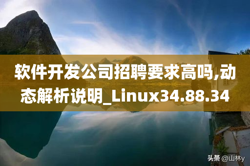 软件开发公司招聘要求高吗,动态解析说明_Linux34.88.34