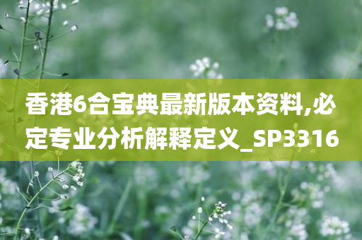 香港6合宝典最新版本资料,必定专业分析解释定义_SP3316