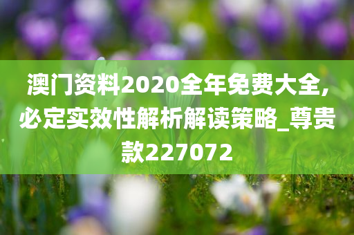 澳门资料2020全年免费大全,必定实效性解析解读策略_尊贵款227072