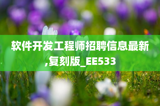 软件开发工程师招聘信息最新,复刻版_EE533