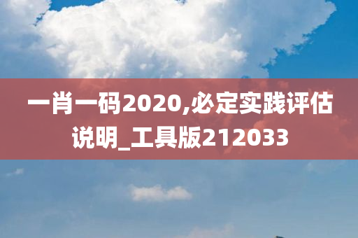 一肖一码2020,必定实践评估说明_工具版212033