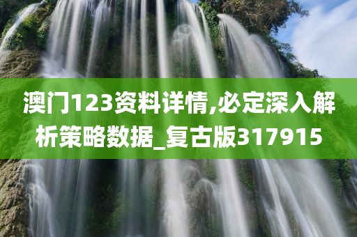 澳门123资料详情,必定深入解析策略数据_复古版317915