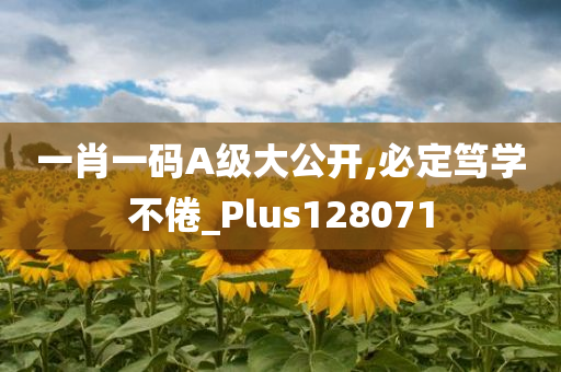 一肖一码A级大公开,必定笃学不倦_Plus128071