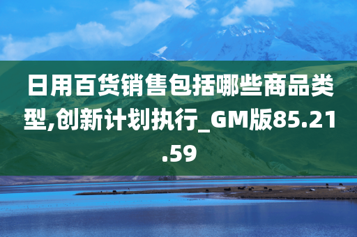 日用百货销售包括哪些商品类型,创新计划执行_GM版85.21.59