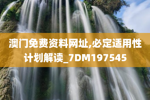 澳门免费资料网址,必定适用性计划解读_7DM197545