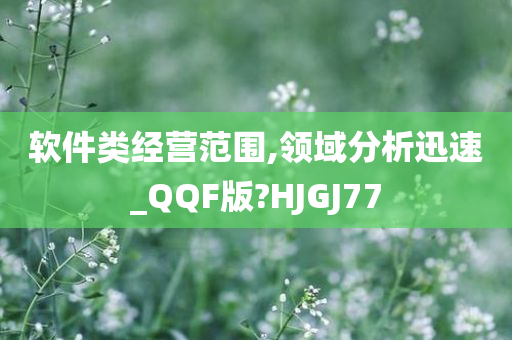 软件类经营范围,领域分析迅速_QQF版?HJGJ77