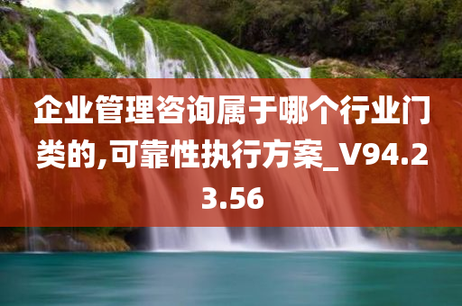 企业管理咨询属于哪个行业门类的,可靠性执行方案_V94.23.56