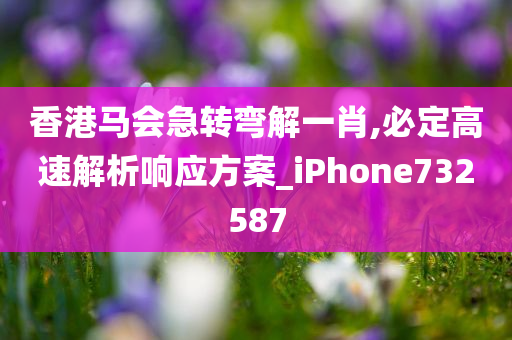 香港马会急转弯解一肖,必定高速解析响应方案_iPhone732587