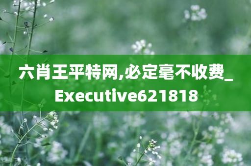 六肖王平特网,必定毫不收费_Executive621818