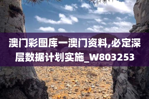 澳门彩图库一澳门资料,必定深层数据计划实施_W803253