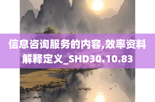 信息咨询服务的内容,效率资料解释定义_SHD30.10.83