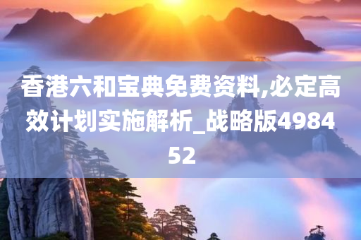 香港六和宝典免费资料,必定高效计划实施解析_战略版498452