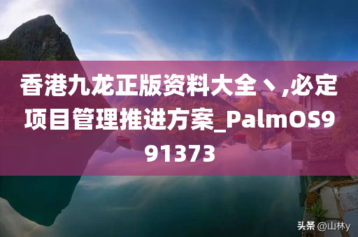 香港九龙正版资料大全丶,必定项目管理推进方案_PalmOS991373