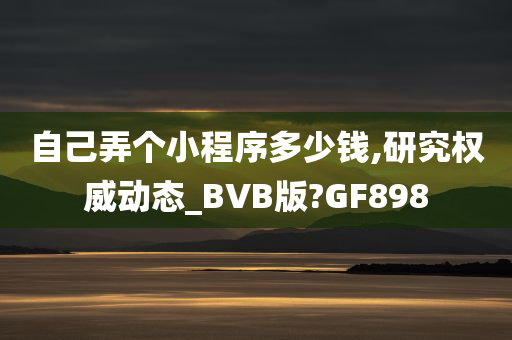 自己弄个小程序多少钱,研究权威动态_BVB版?GF898