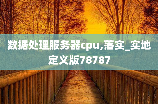 数据处理服务器cpu,落实_实地定义版78787