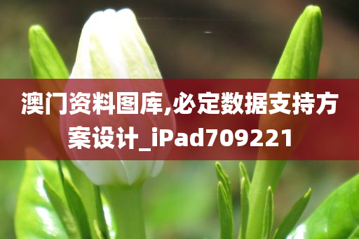 澳门资料图库,必定数据支持方案设计_iPad709221