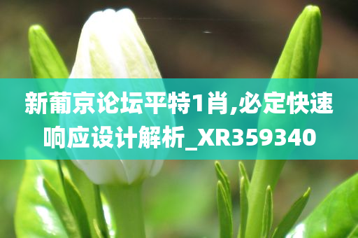 新葡京论坛平特1肖,必定快速响应设计解析_XR359340