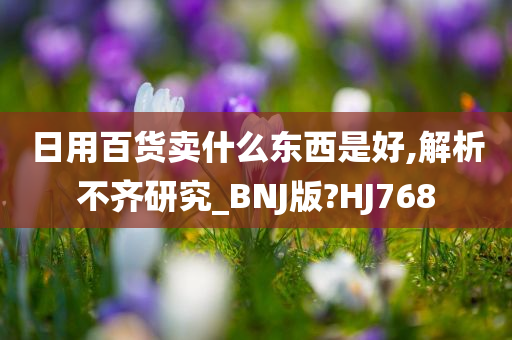 日用百货卖什么东西是好,解析不齐研究_BNJ版?HJ768