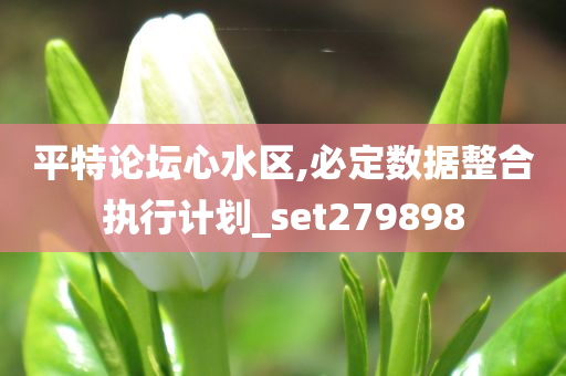 平特论坛心水区,必定数据整合执行计划_set279898