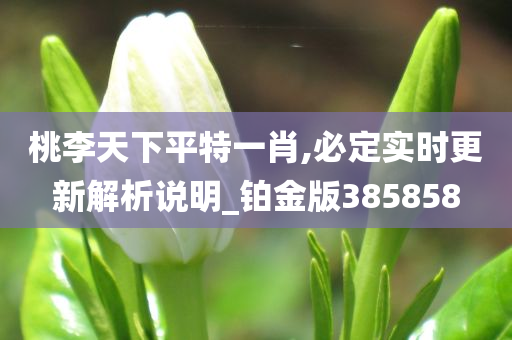 桃李天下平特一肖,必定实时更新解析说明_铂金版385858