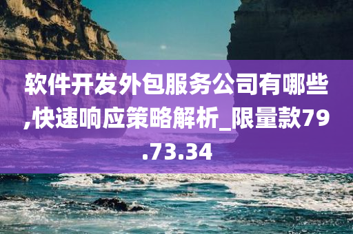 软件开发外包服务公司有哪些,快速响应策略解析_限量款79.73.34