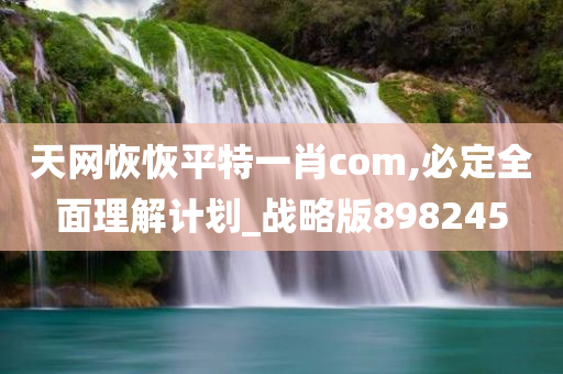 天网恢恢平特一肖com,必定全面理解计划_战略版898245