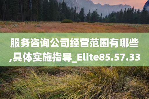 服务咨询公司经营范围有哪些,具体实施指导_Elite85.57.33