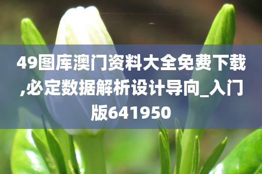 49图库澳门资料大全免费下载,必定数据解析设计导向_入门版641950